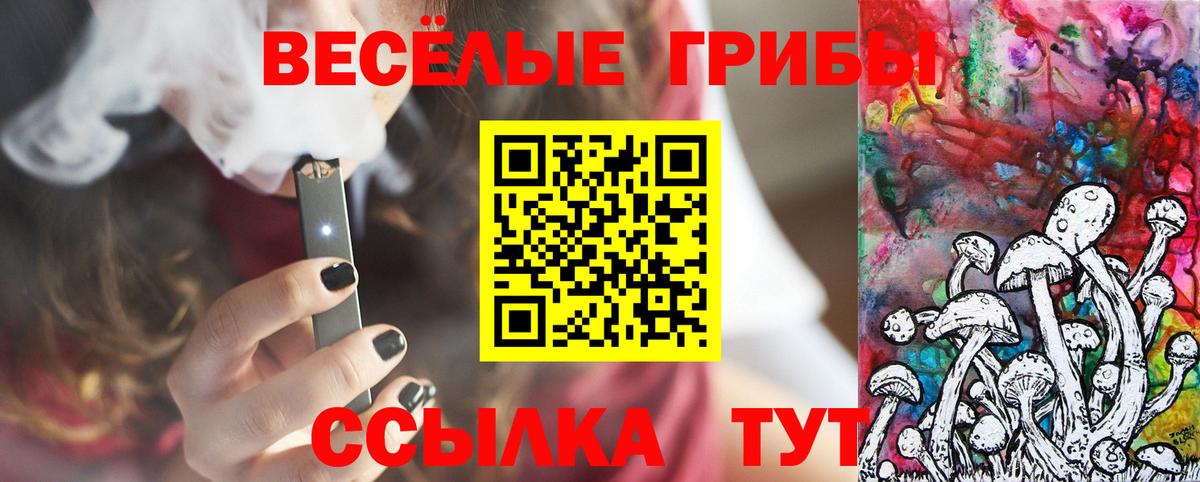 Псилоцибиновые грибы прущие грибы Нижний Тагил